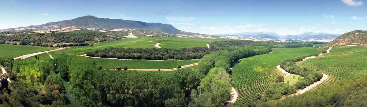 Vinos de Pago de Arínzano