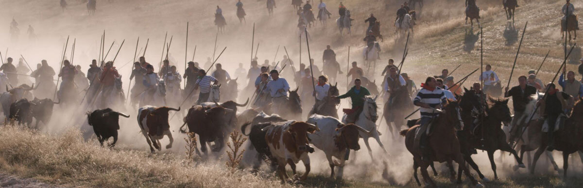 Encierros de Cuéllar