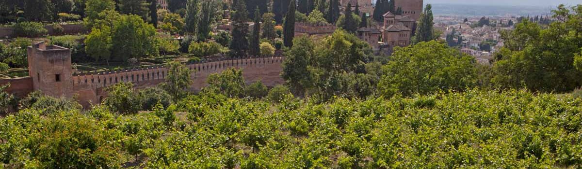 Vinos de Granada