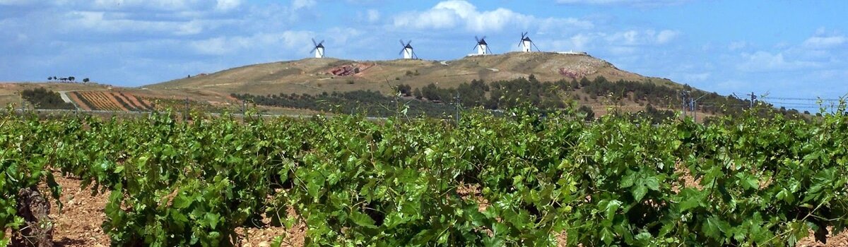 Vinos de La Mancha