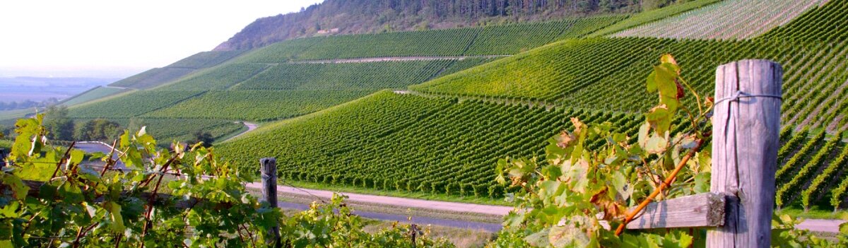 Vinos de Penedès