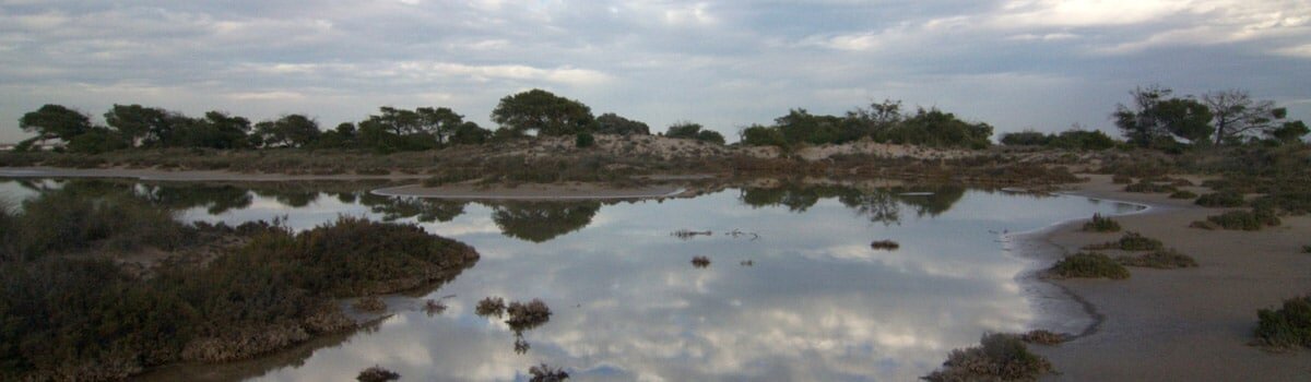 Salinas de San Pedro del Pinatar