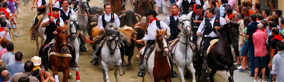 Entrada de Toros y Caballos de Segorbe