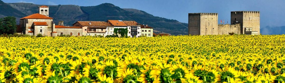 panoramica-medina-de-pomar2