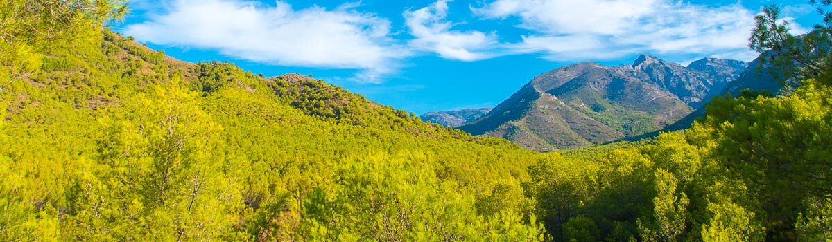 Sierra de Tejeda