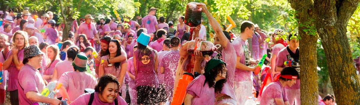 Batalla del Vino