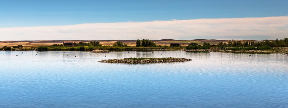 Lagunas de Villafafila