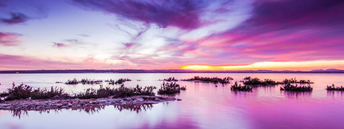 Laguna de Torrevieja