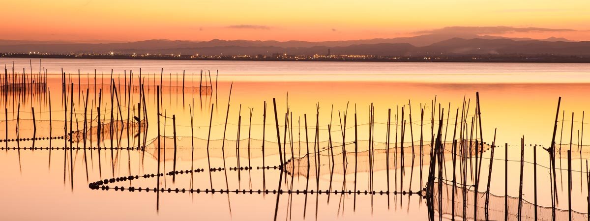 la Albufera