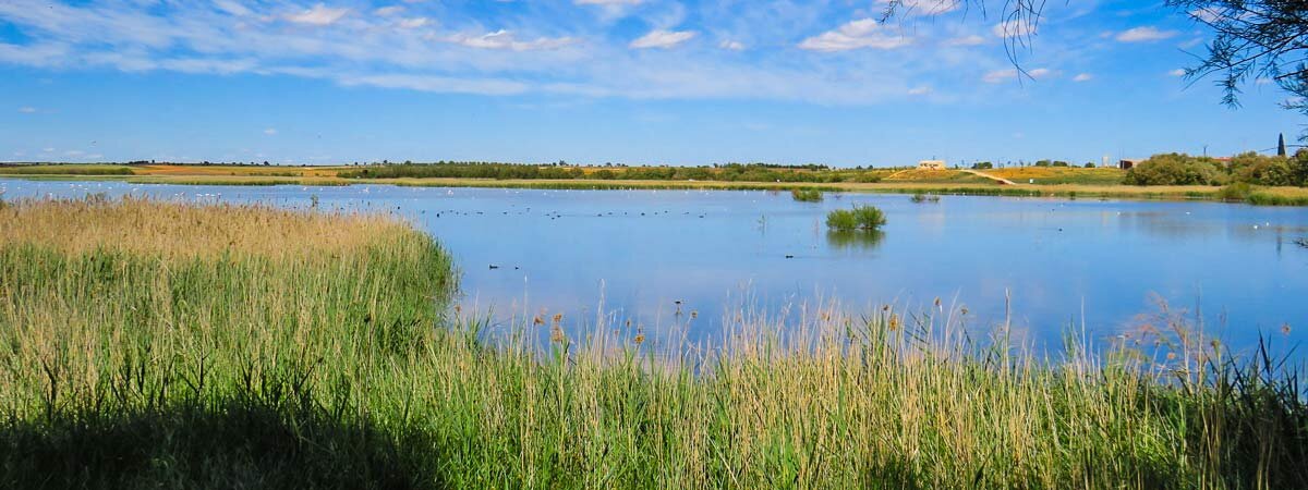 Lagunas de Campo de San Juan