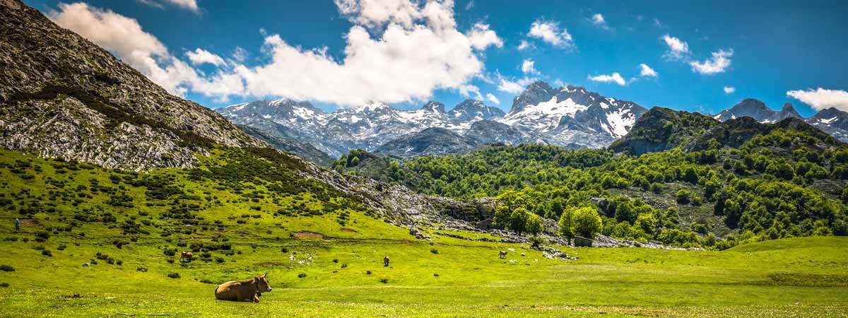 Picos de Europa Cantabria