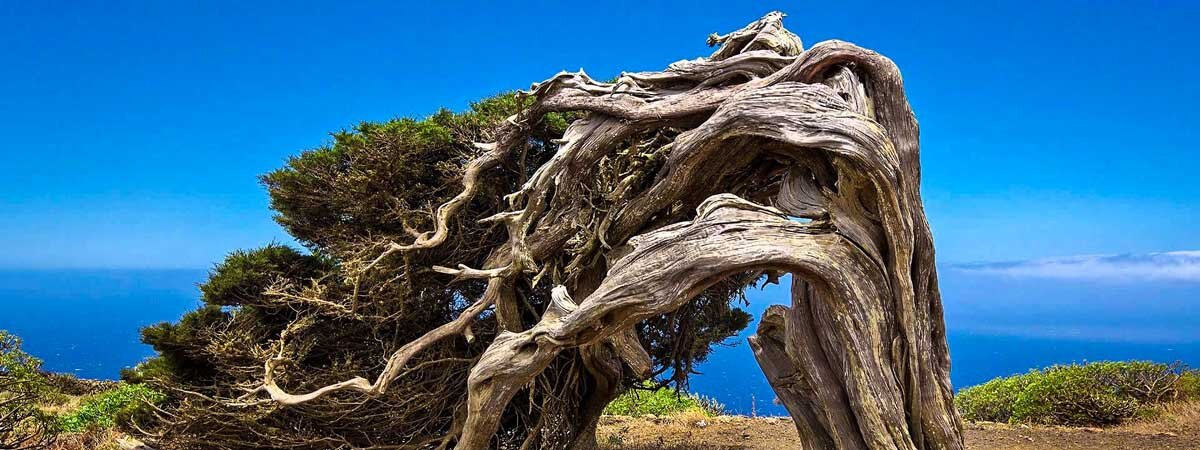 Frontera el Hierro