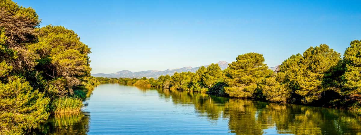 S'Albufera Alcudia