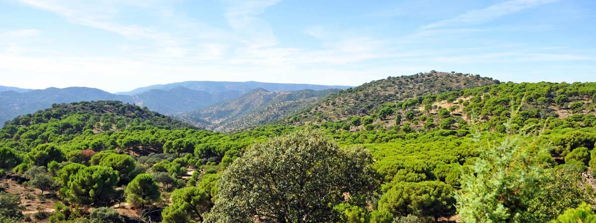 Sierra de Jaén. | Shutterstock