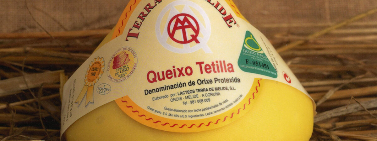 Queso Tetilla