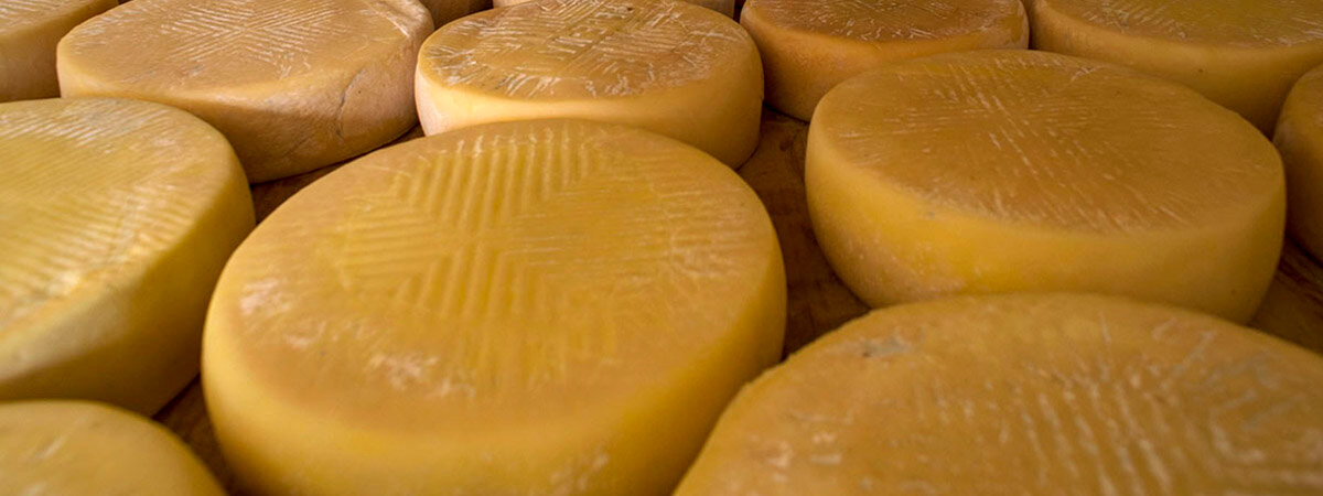 Queso de Guía