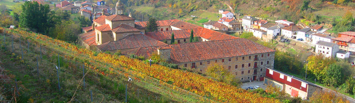 vino de Cangas