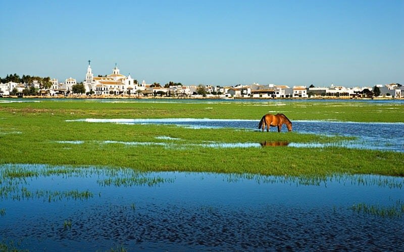 Doñana, posible enclave de Tartessos.