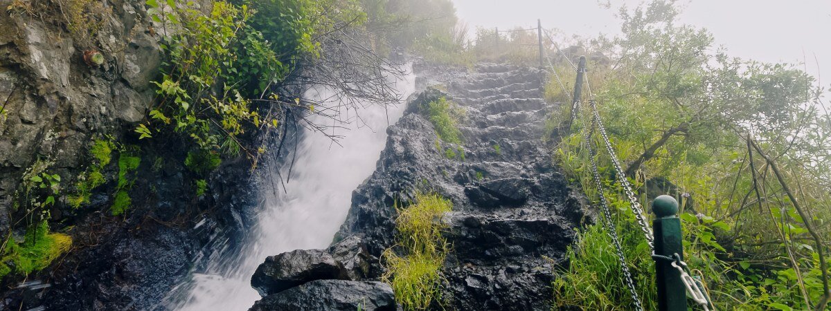 Vegetación en la cascada de Los Tilos. | Shutterstock