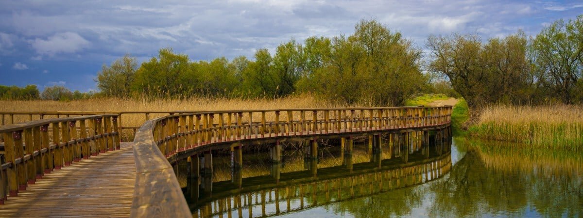 Vistas desde la pasarela en Las Tablas de Daimiel. | Shutterstock 
