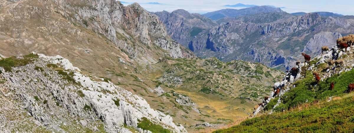 Cubres montañosas en Babia | Shutterstock