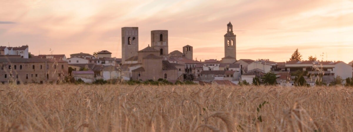 Views from the hill with a cereal field in the first term of Arevalo, Avila, Castilla Leon, Spain, Europe