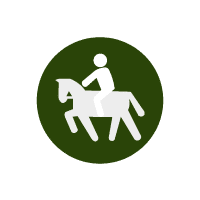 Equitación equitacion