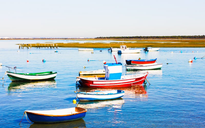 Entorno de las marismas de Sancti Petri