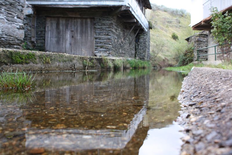 Río Camba a su paso por Campobecerros