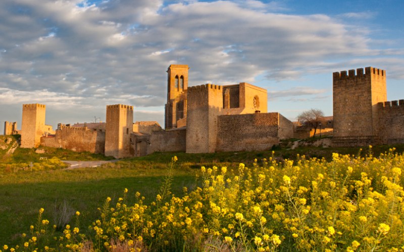 Cerco de Artajona e iglesia de San Saturnino