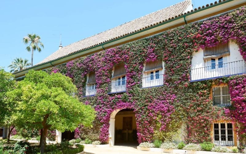 Fachada principal Palacio Dueñas