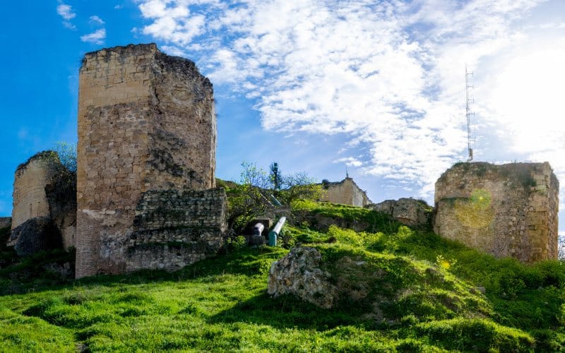 Vista del castillo de Morón de la Frontera sobre un cerro verdoso