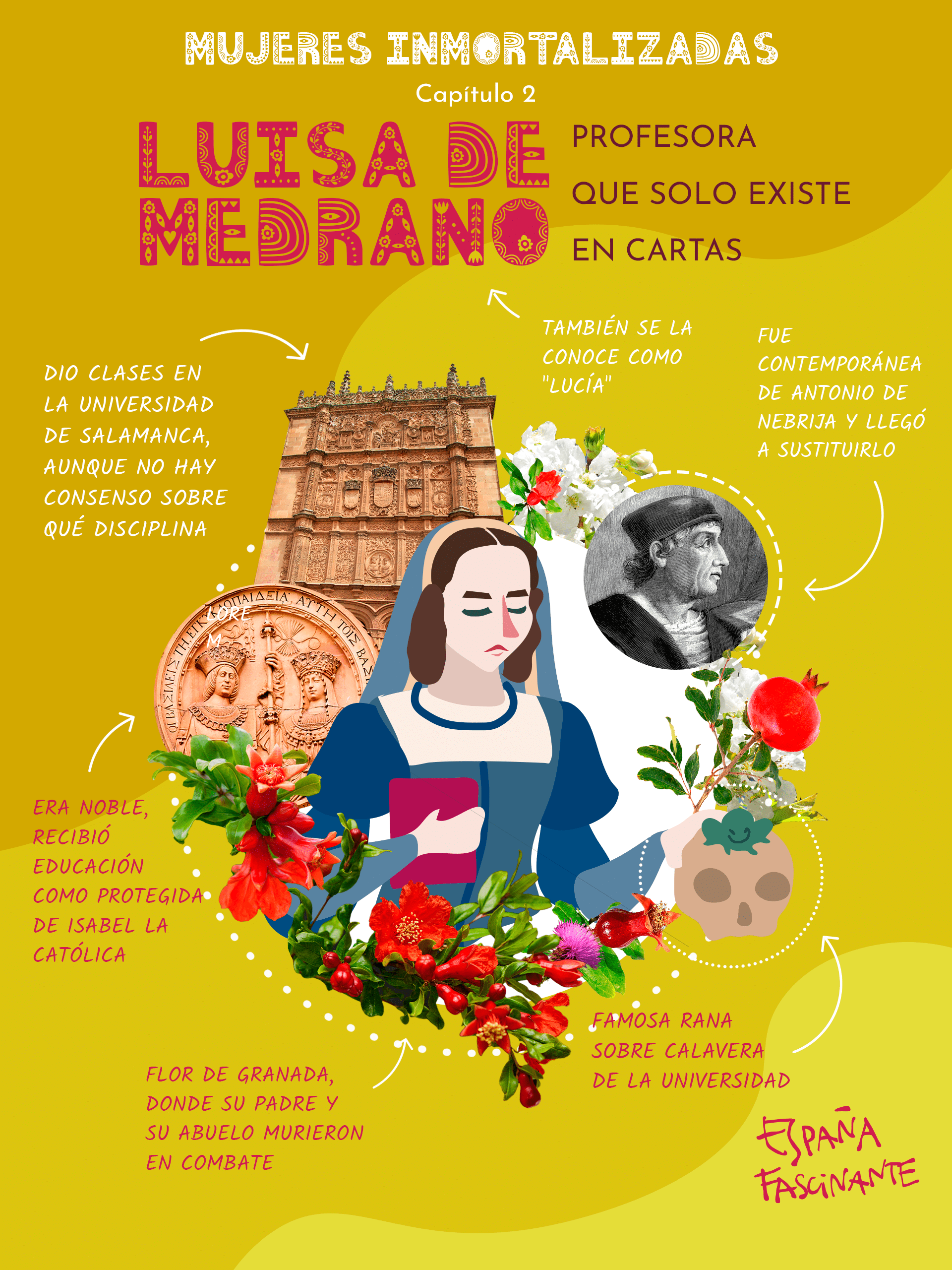Luisa de Medrano