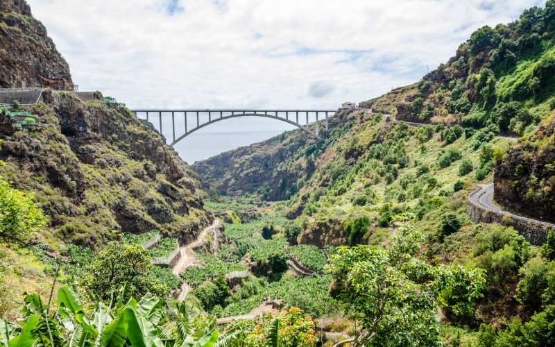 Puente de San Andrés y Sauces