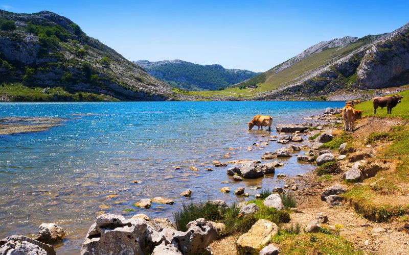 No hay un momento del año en el que los Lagos de Covadonga no sean apetecibles