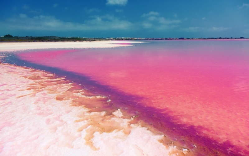 Laguna rosa de Torrevieja