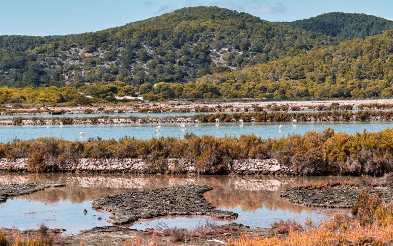 Parque Natural Ses Salines