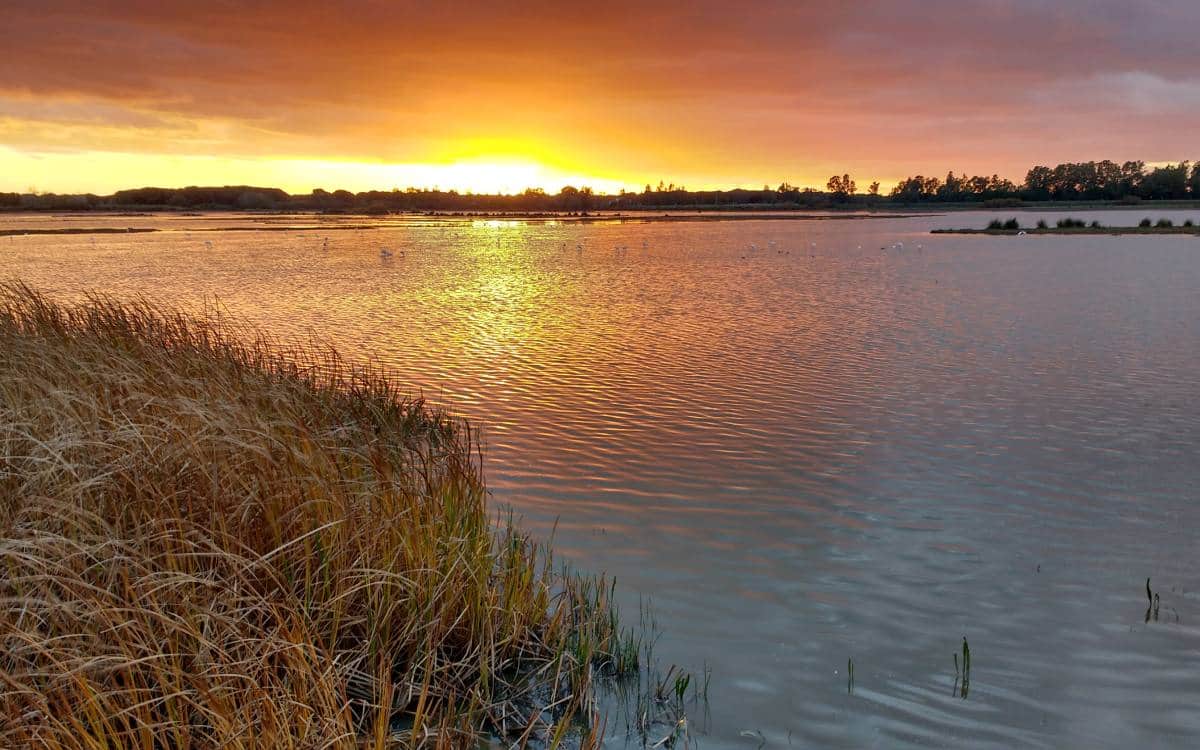 Parque Nacional de Doñana