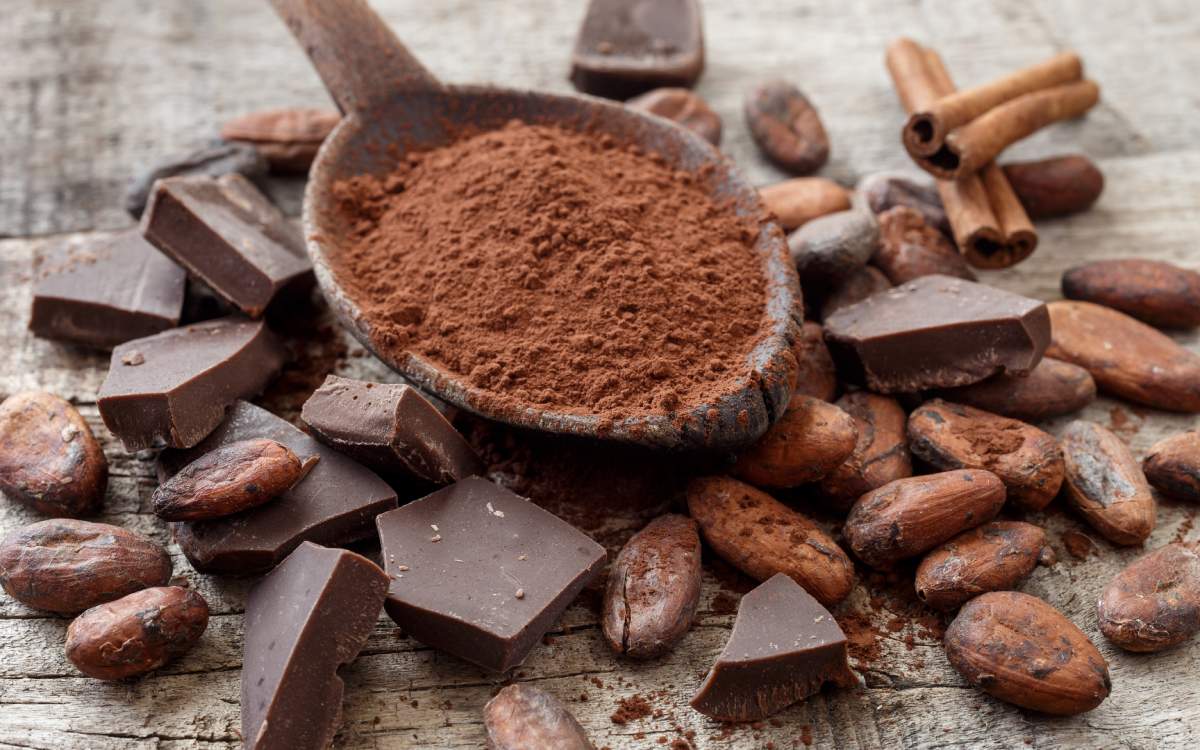 Semillas de cacao.