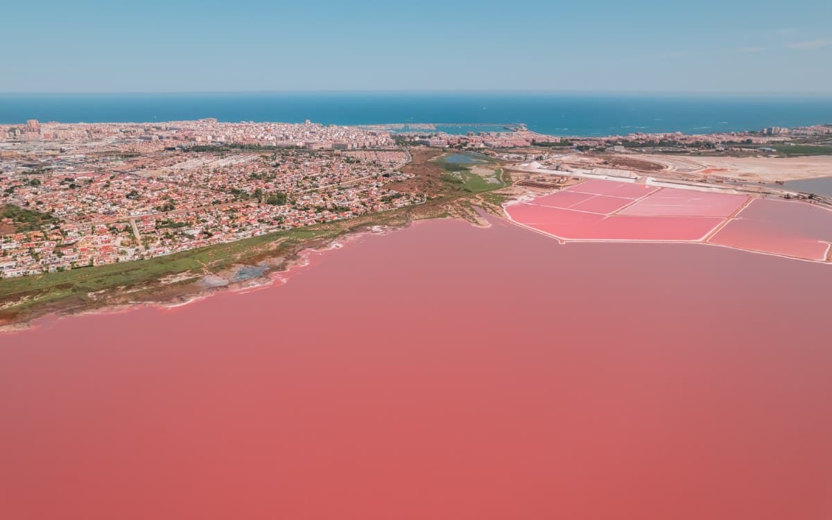 Salinas de Torrevieja