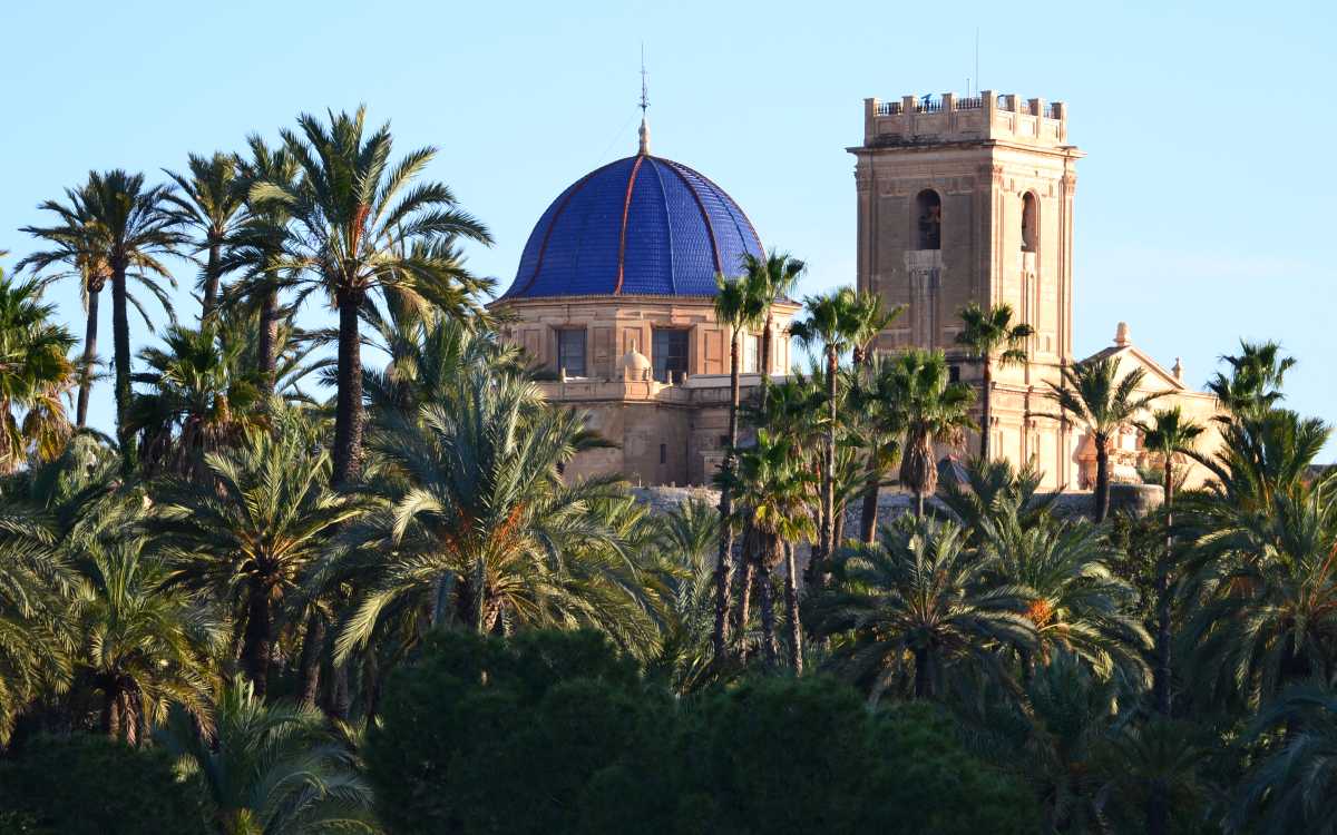 Palmeral de Elche