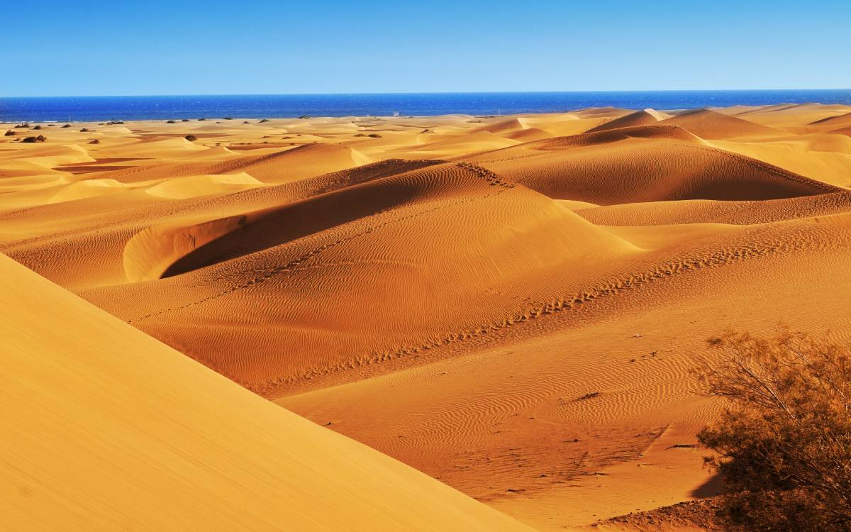 Dunas de Maspalomas