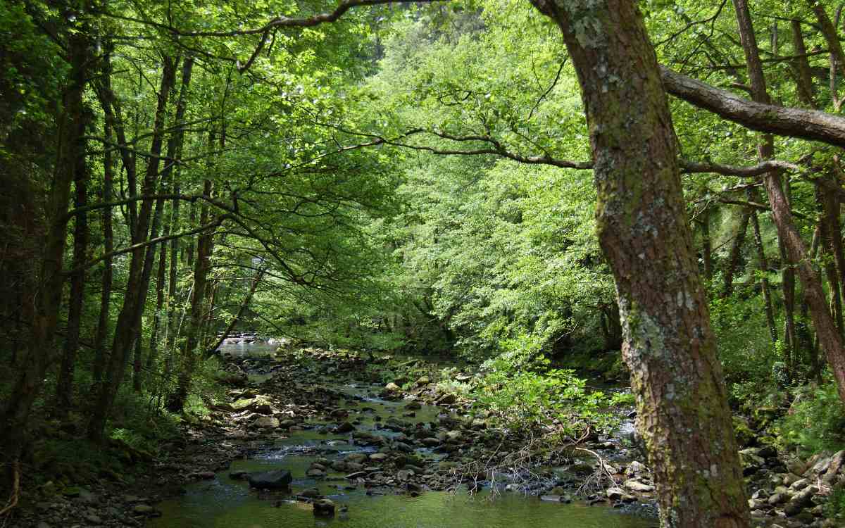Valle del Leitzaran