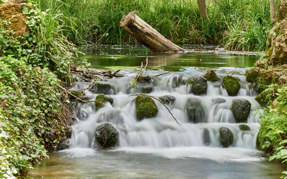 Nacimiento del río Huéznar