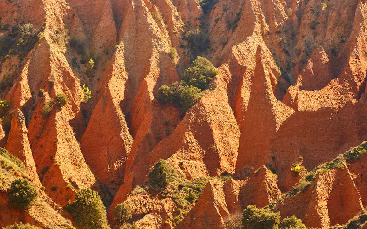 Las Cárcavas
