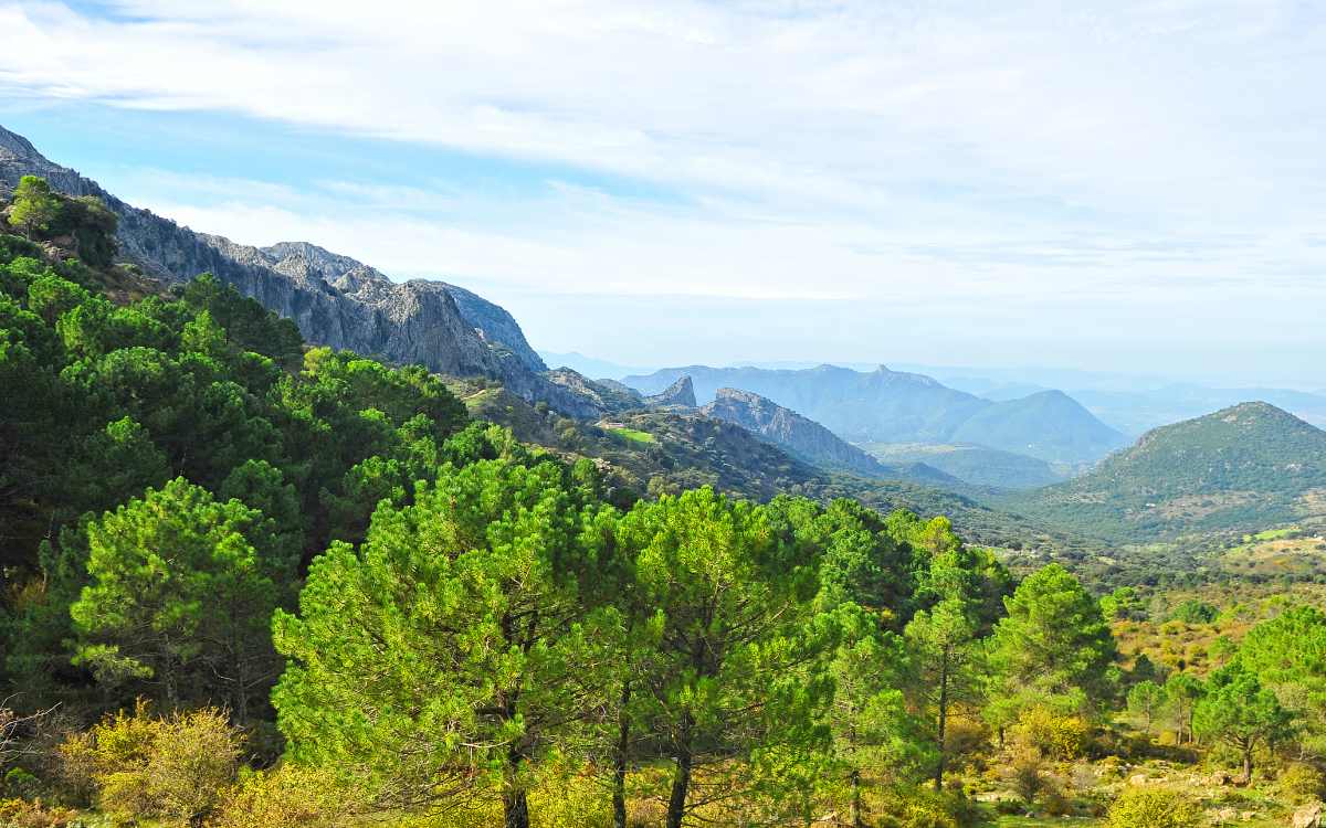 Parque Natural de la Sierra de Grazalema