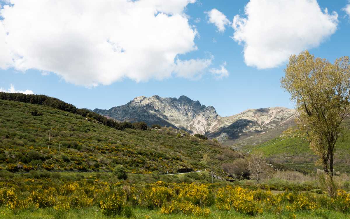Macizo de Curavacas