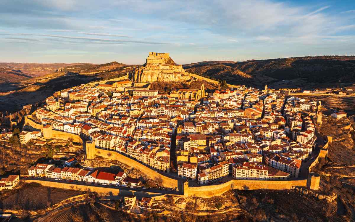 Morella