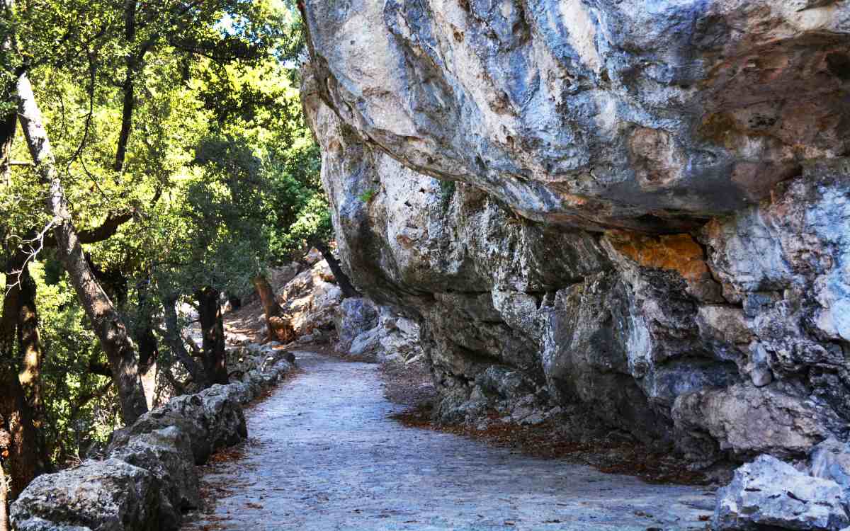 Sendero de piedra en Lluc