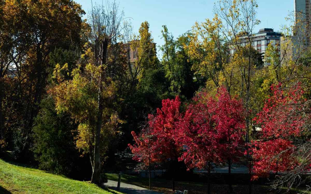 Parque de Vallparadís.